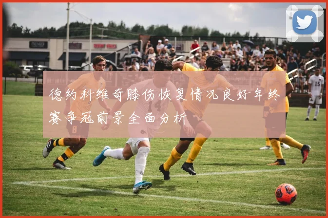 德约科维奇膝伤恢复情况良好年终赛争冠前景全面分析
